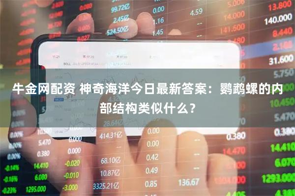 牛金网配资 神奇海洋今日最新答案：鹦鹉螺的内部结构类似什么？