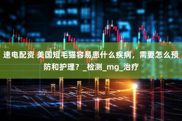 速电配资 美国短毛猫容易患什么疾病，需要怎么预防和护理？_检测_mg_治疗