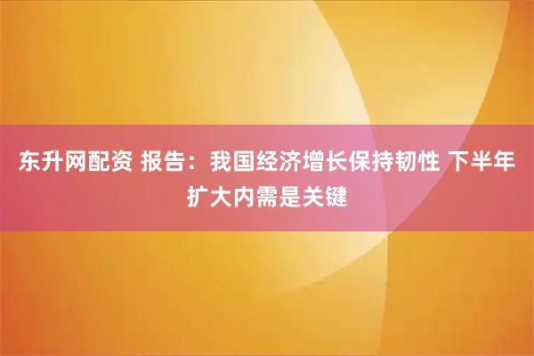 东升网配资 报告：我国经济增长保持韧性 下半年扩大内需是关键