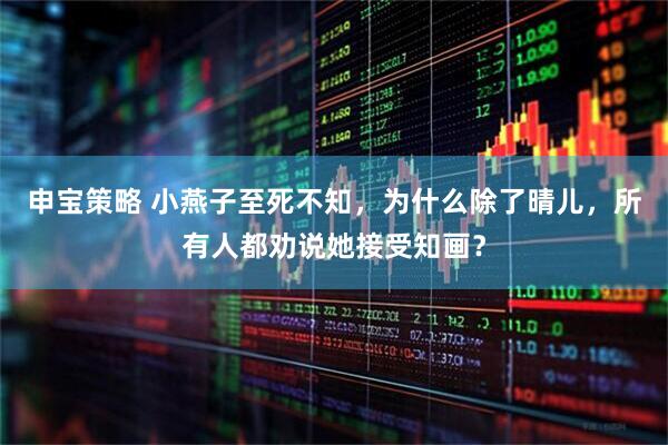 申宝策略 小燕子至死不知，为什么除了晴儿，所有人都劝说她接受知画？
