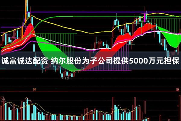 诚富诚达配资 纳尔股份为子公司提供5000万元担保