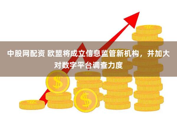 中股网配资 欧盟将成立信息监管新机构，并加大对数字平台调查力度